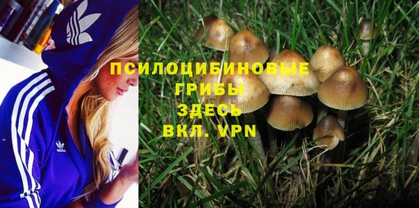 spice Козельск