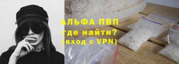 стафф Кодинск