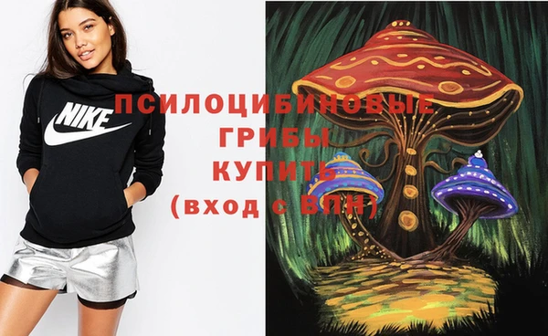 а пвп мука Киреевск