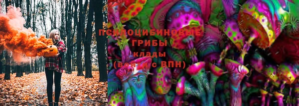 spice Козельск