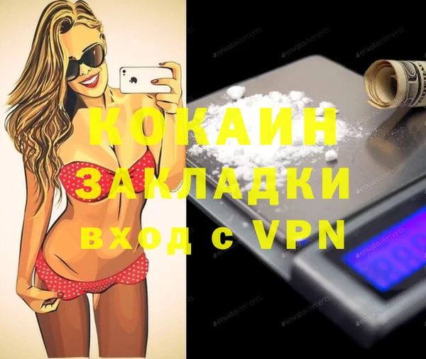 стафф Кодинск