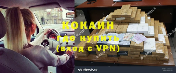 стафф Кодинск