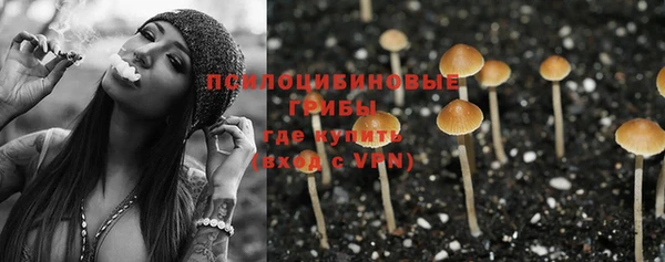 стафф Кодинск