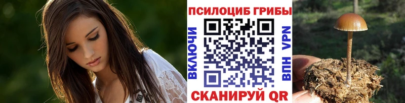 Галлюциногенные грибы мицелий  Александровское 