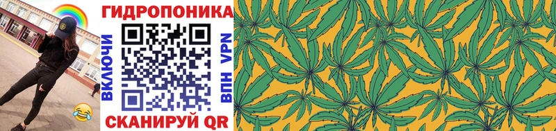 Канабис MAZAR Александровское